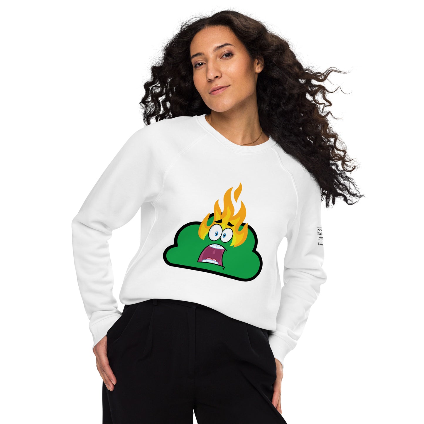 Unisex Organic Raglan Sweatshirt | Burning Bush